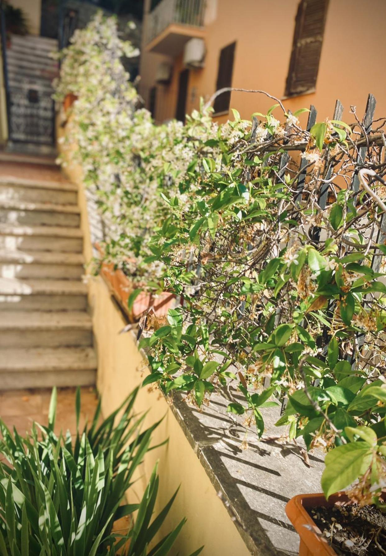 Apartment The Corner San Pietro *